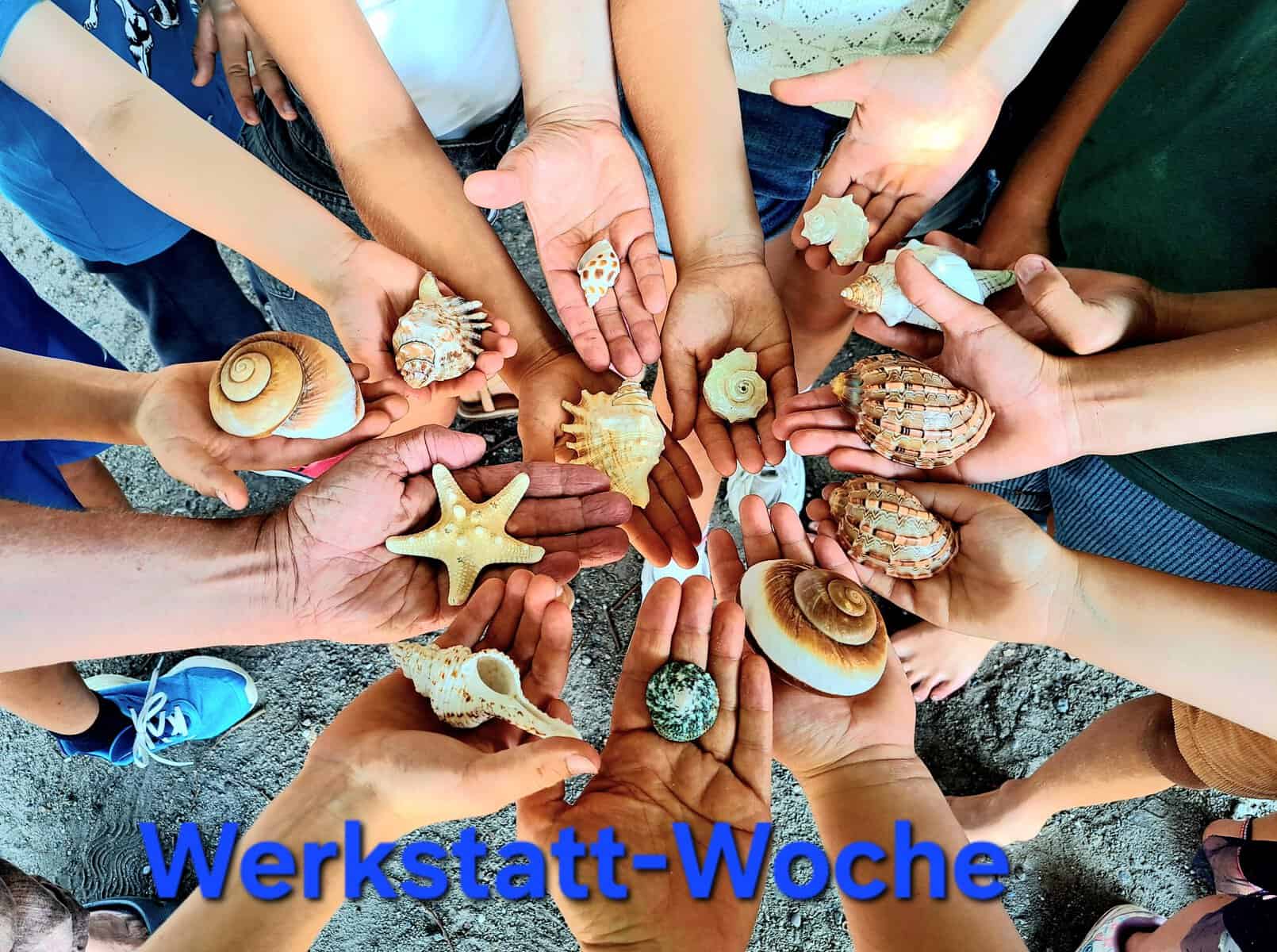 Ein Foto von vielen Kinderhänden, die verschiedene Muscheln halten. Die Hände sind in die Mitte des Bildes gerichtet. Am unteren Rand des Bildes steht geschrieben: Werkstatt-Woche